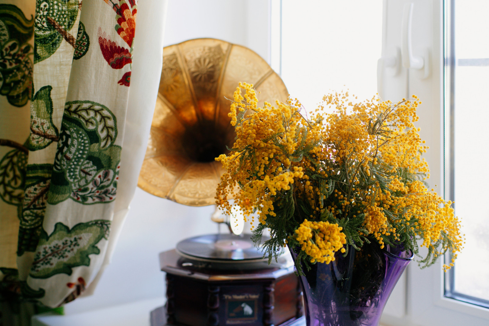 Как правильно: Провести генеральную уборку на садовом участке