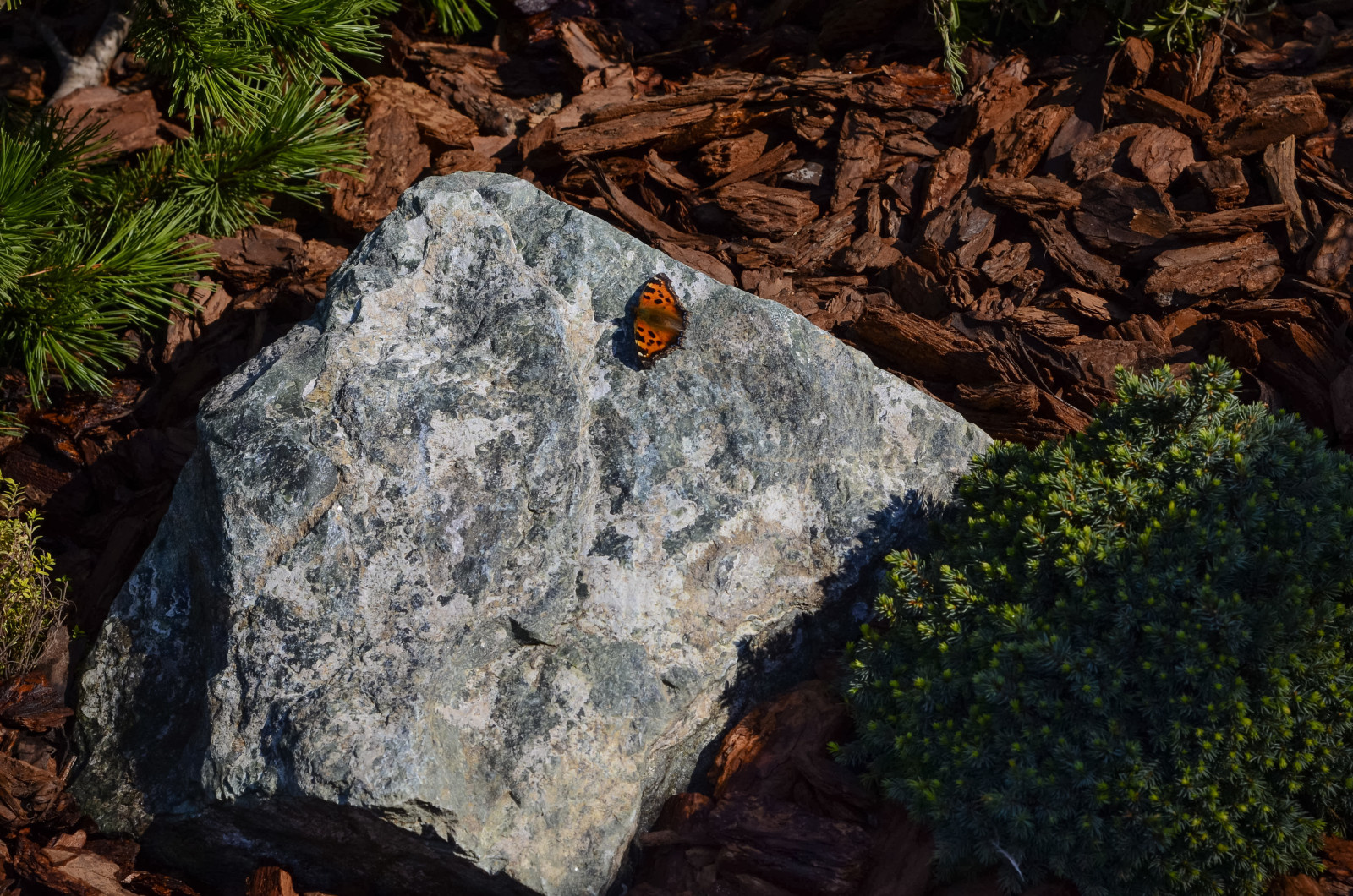 Проект недели: Беседка-терраса ─ превращаем дачную жизнь в праздник