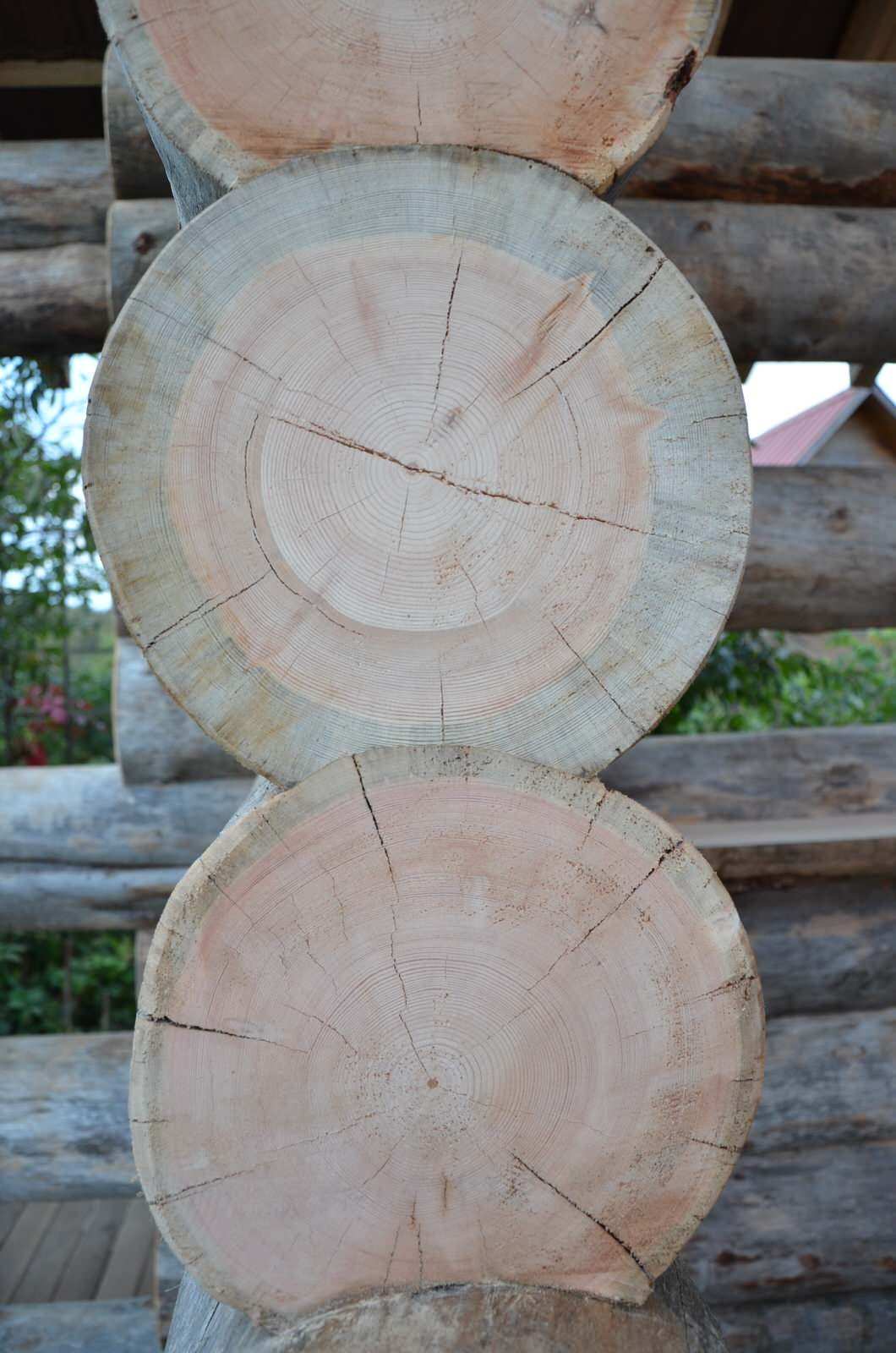 Избушка на опушке