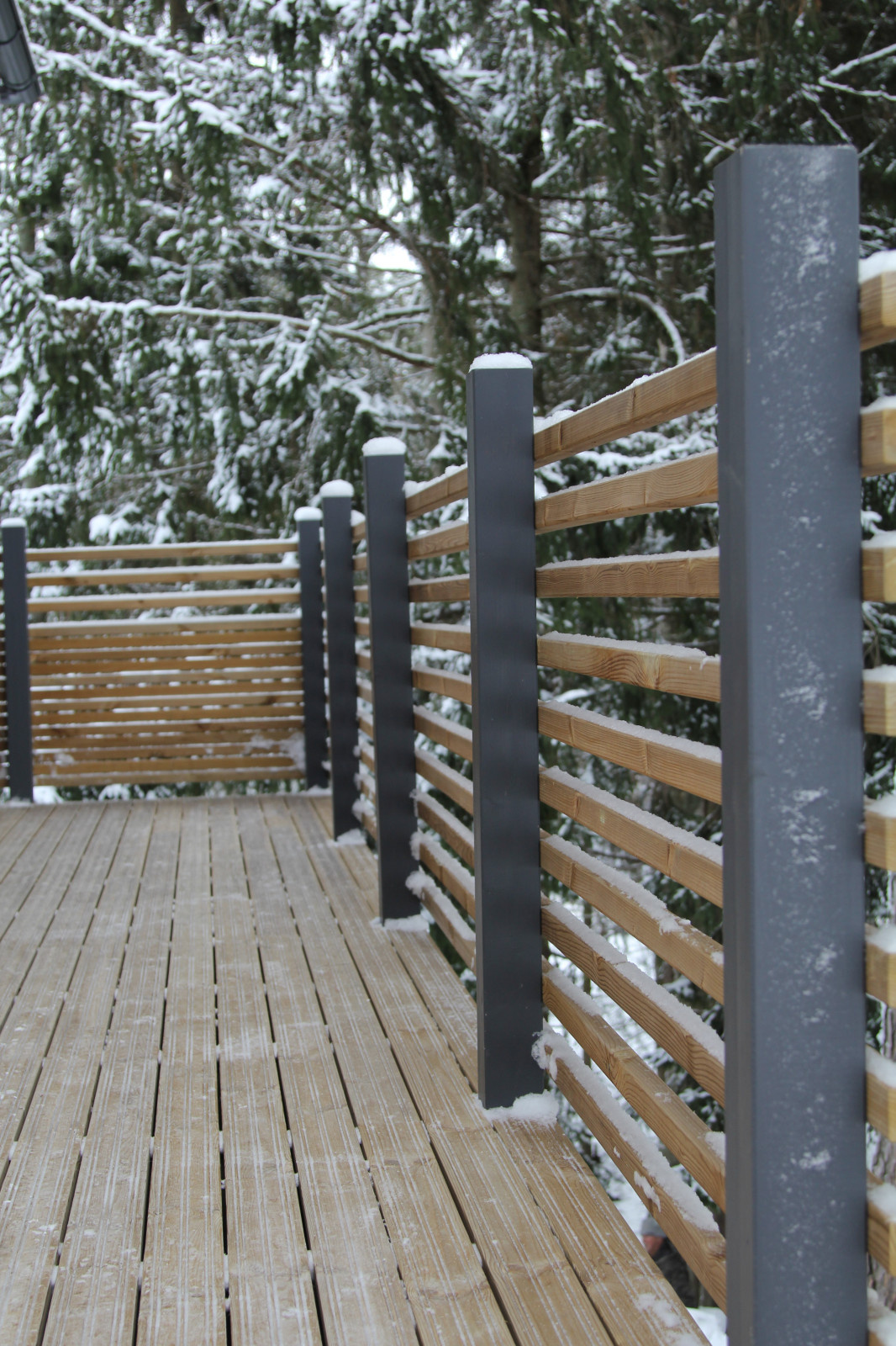 Загородный дом для финской олимпийской чемпионки