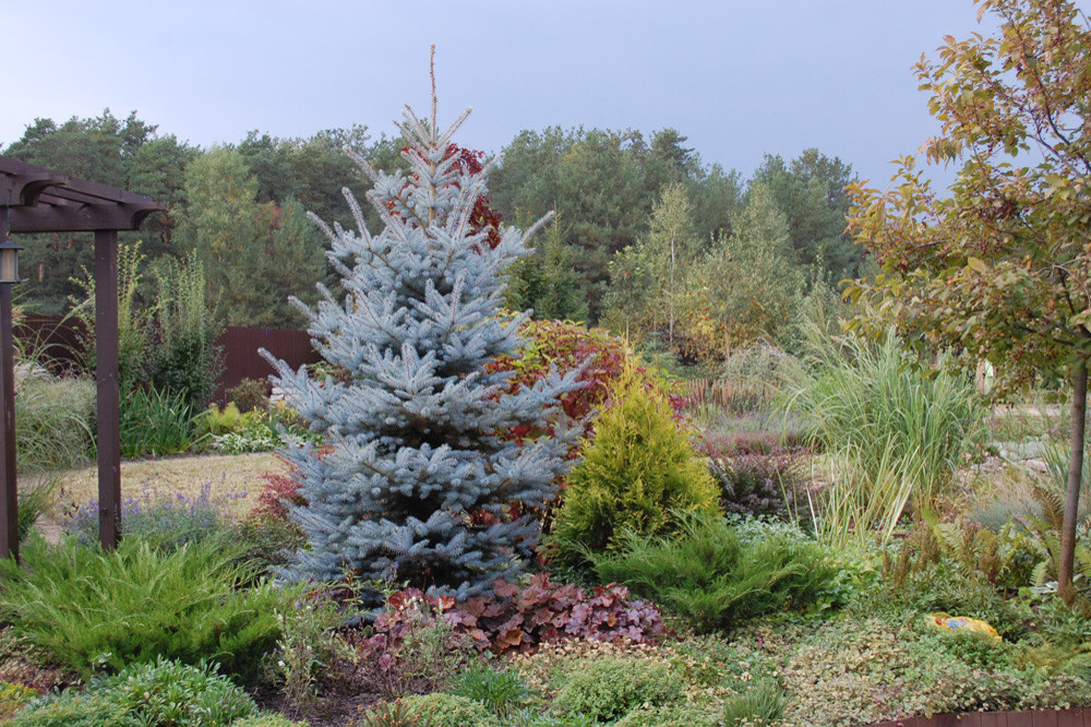 Обложка проекта: Коттеджный посёлок "Коровино".