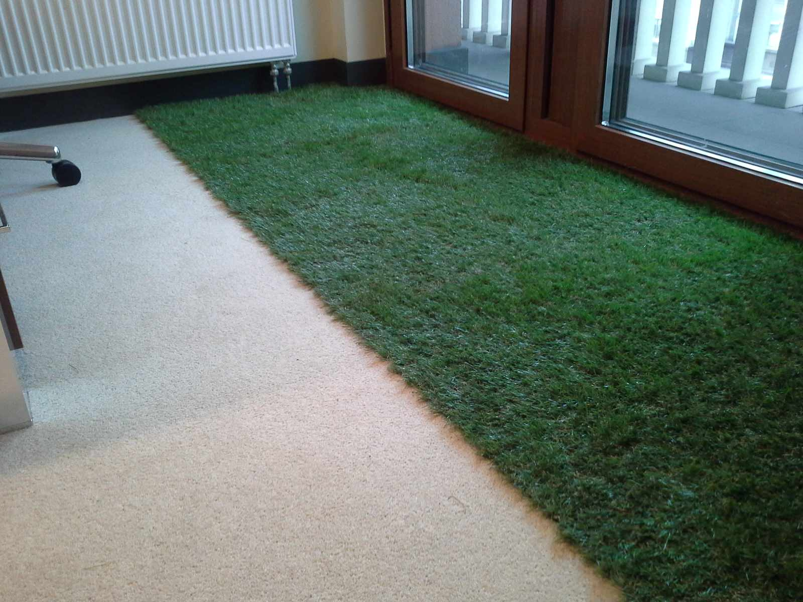 Павел Шувалов