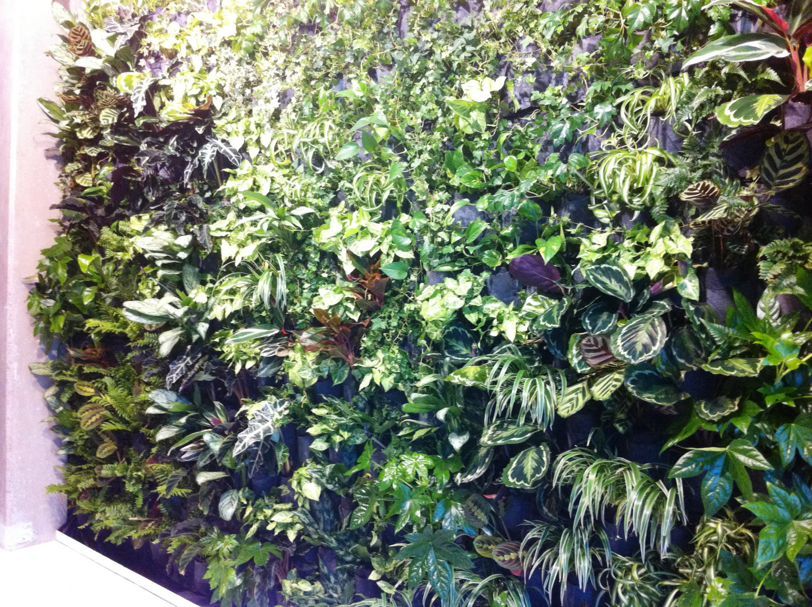 Фоновое изображение профиля Ирина Собко