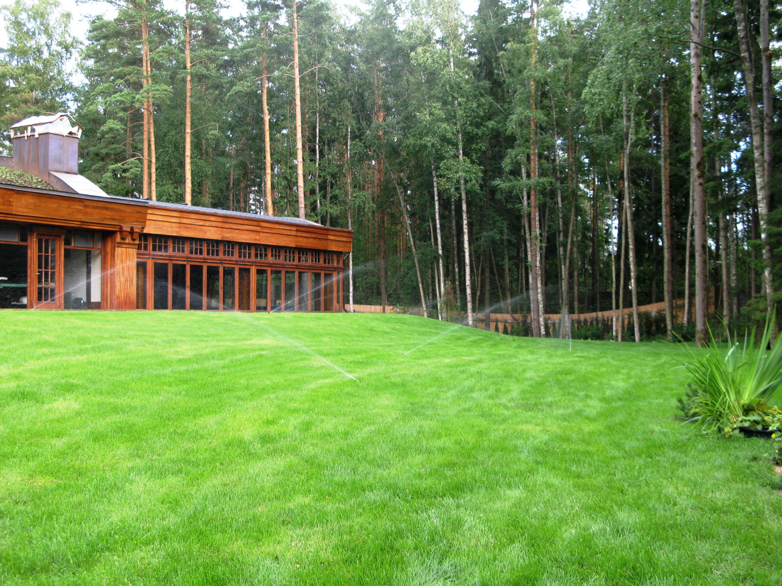 Средиземье в знаменитом Репино