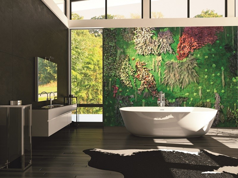 Обложка альбома: мох