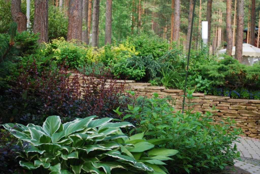 Фоновое изображение профиля Конькова Елена