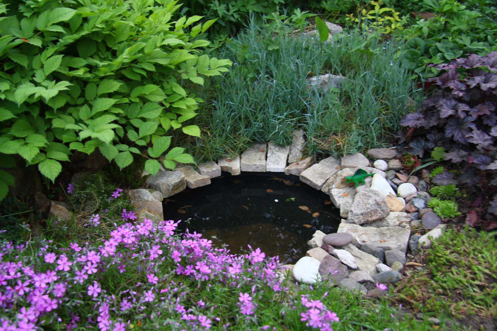 Наш сад / Our garden