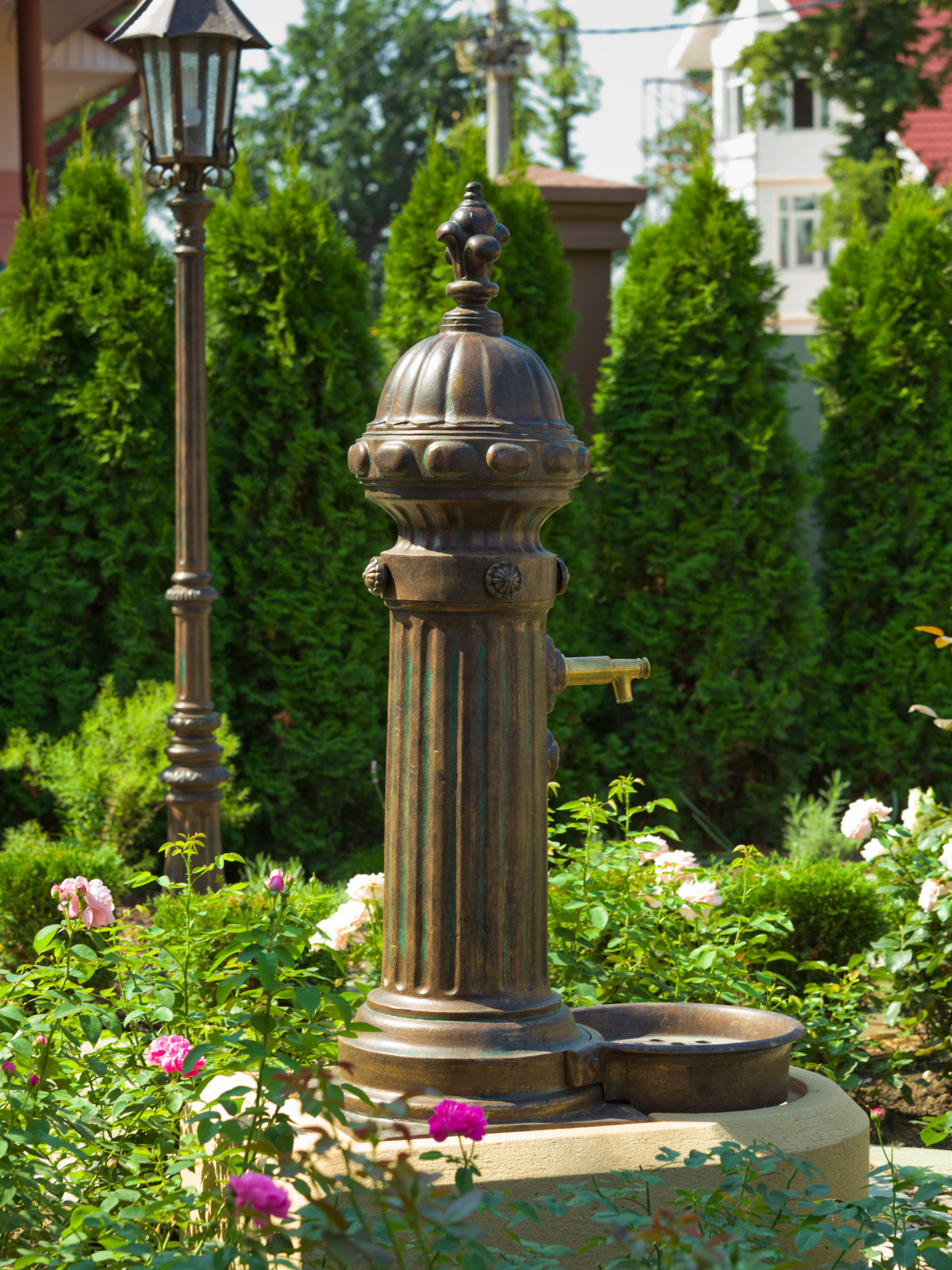 Розарий в частном саду