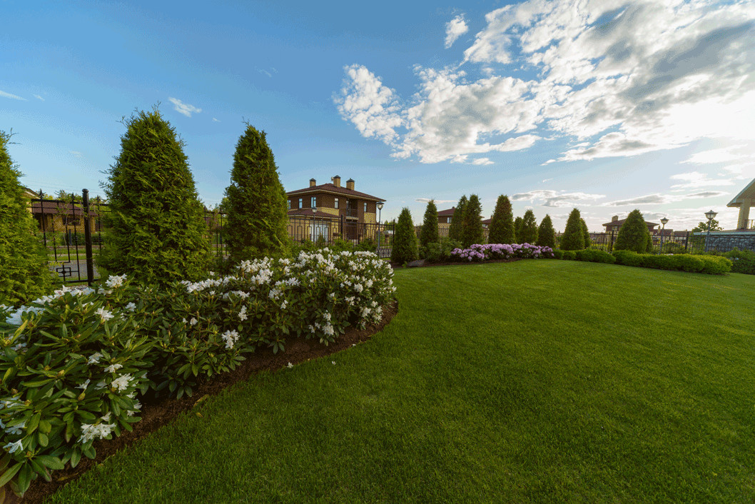 Участок с открытой планировкой