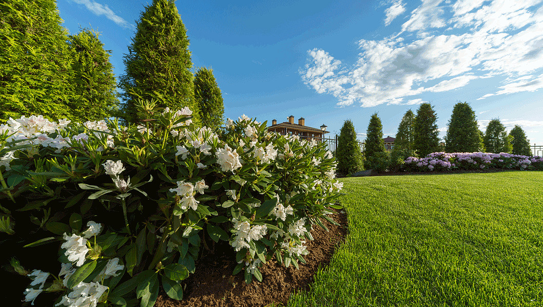 Участок с открытой планировкой