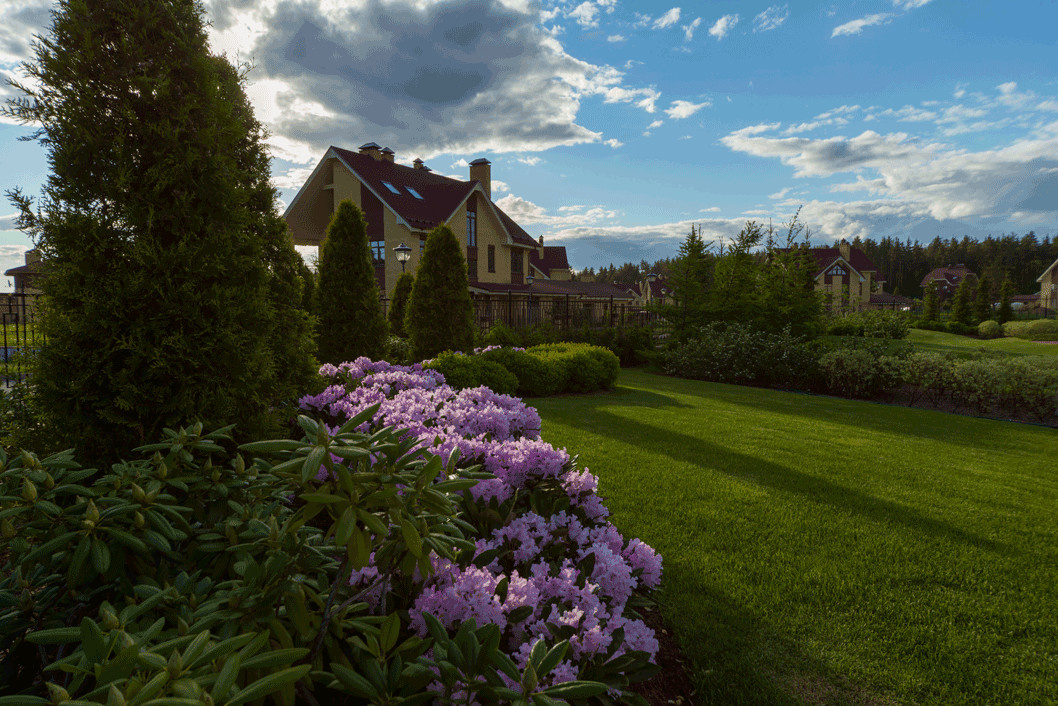 Участок с открытой планировкой