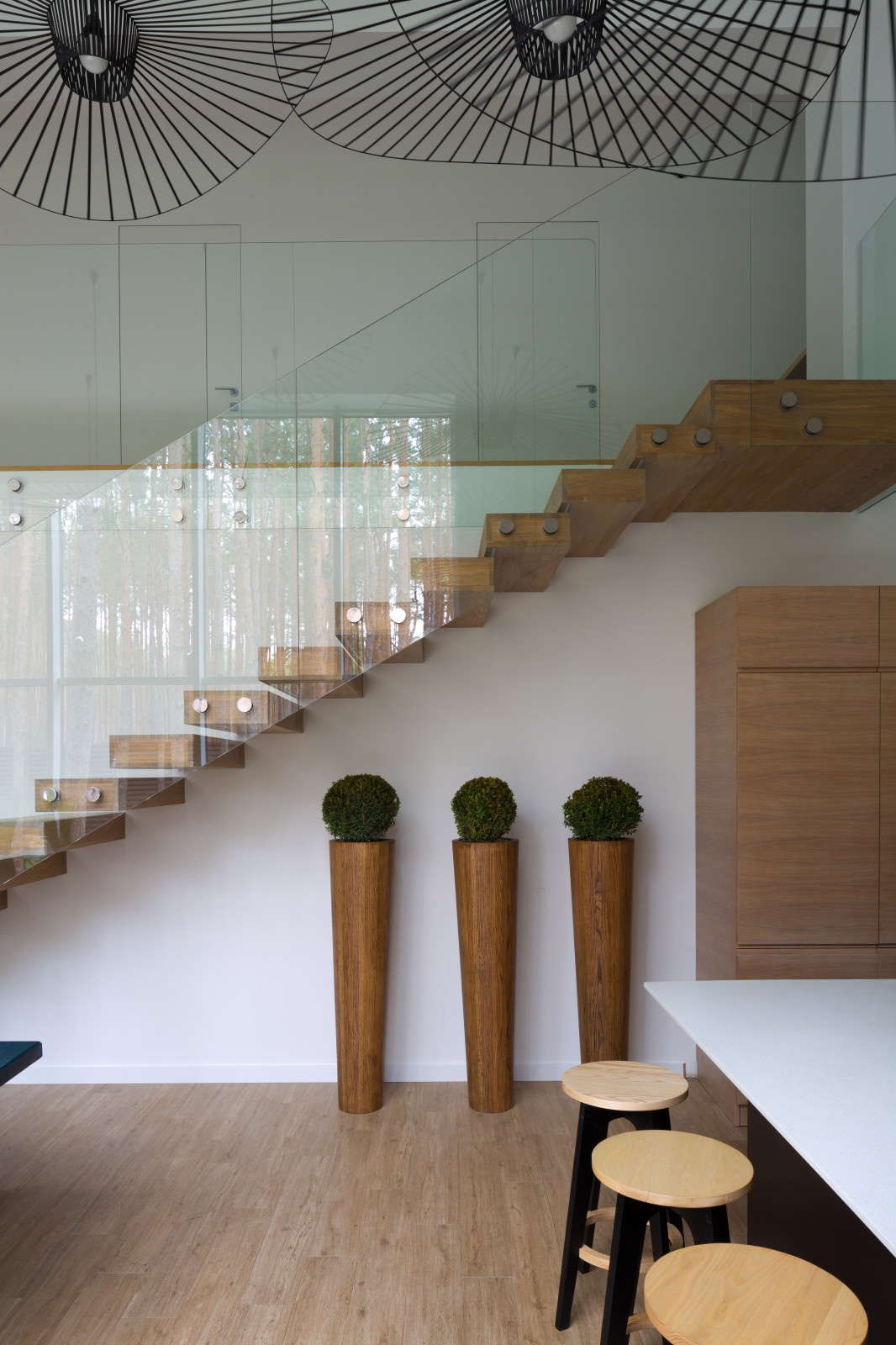 Houzz Украина: Дом-куб среди сосен в стиле эко-минимализма