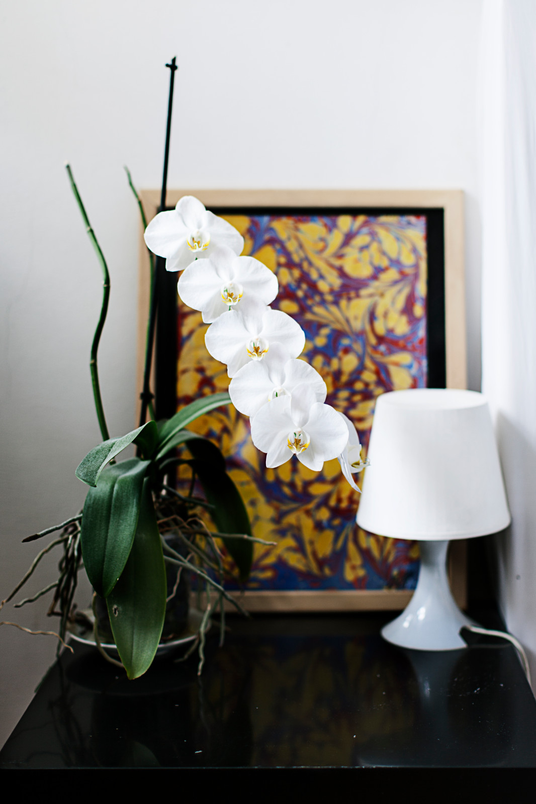 В гостях: Студия художника с эркером, картинной галереей и Анджелиной