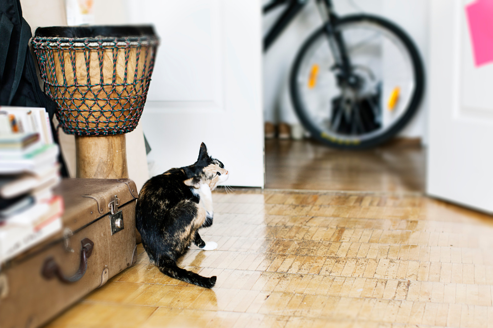 Одна комната: Как жить комфортно, если вы арендуете часть квартиры