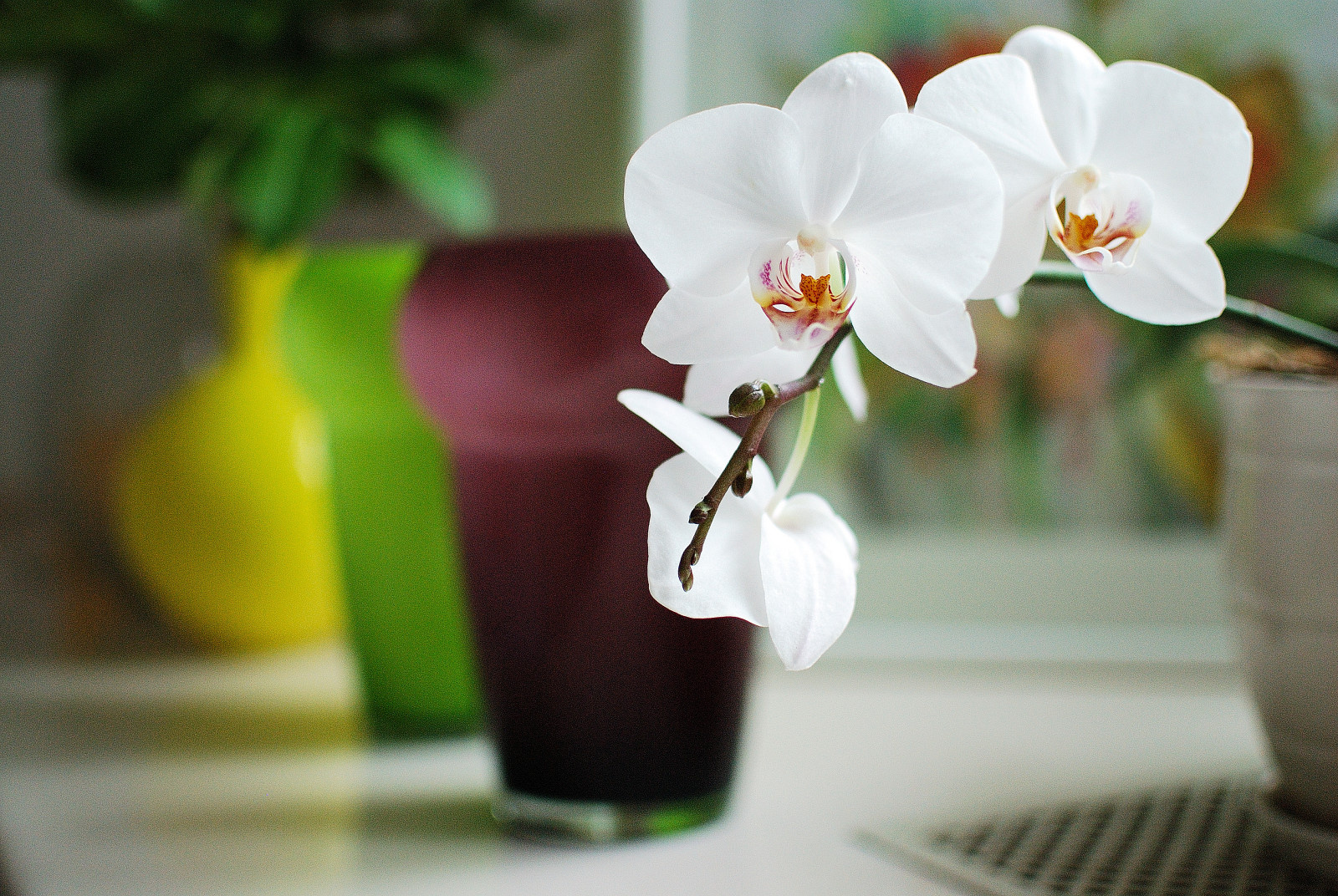 Квартира с весенним настроением