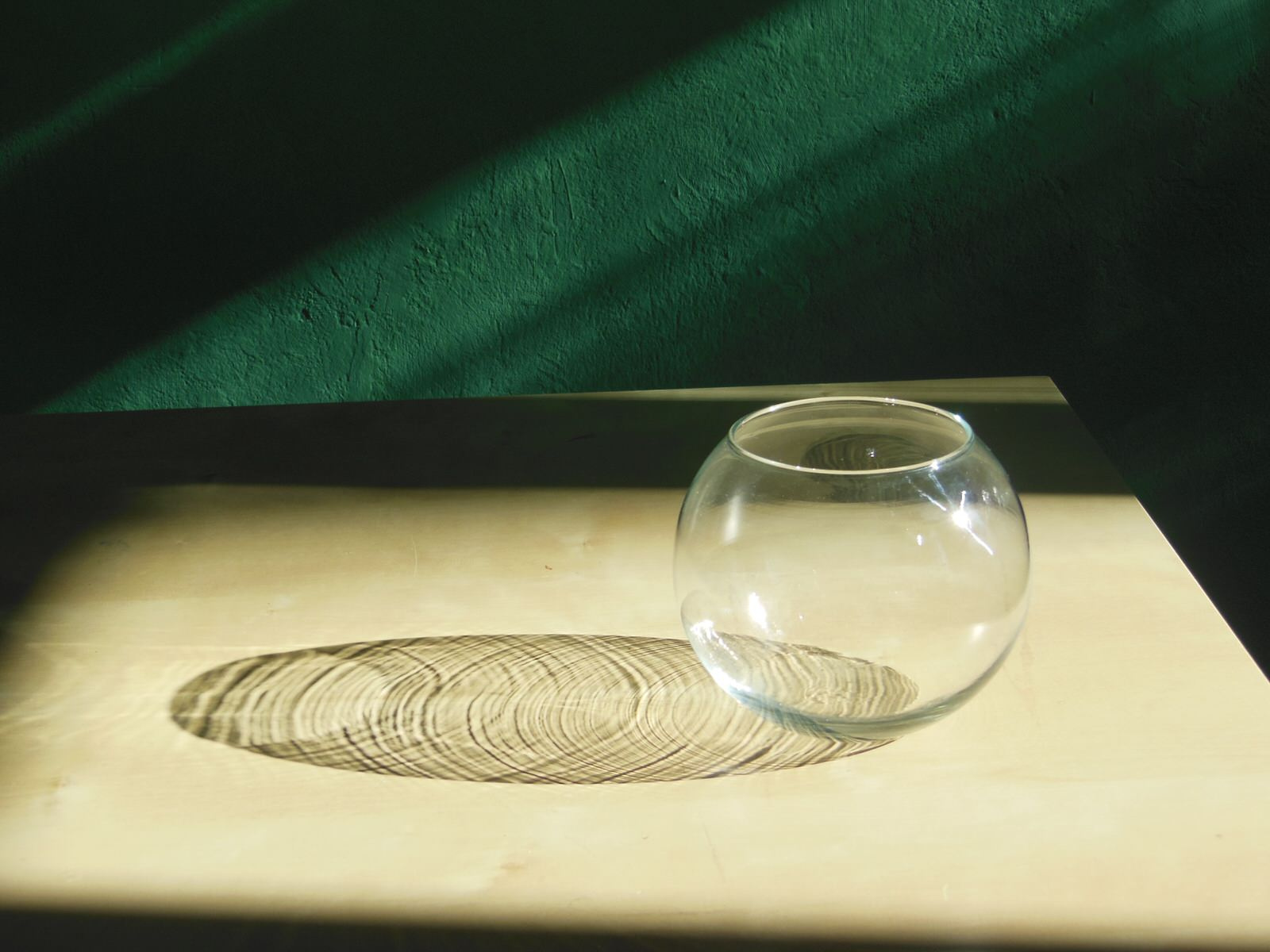 Екатерина Сергеева