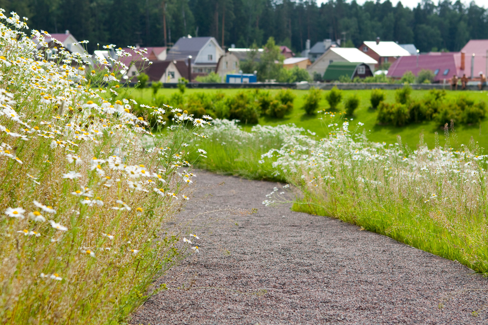 Проект недели: Современный сад с холмами и «метеоритом»