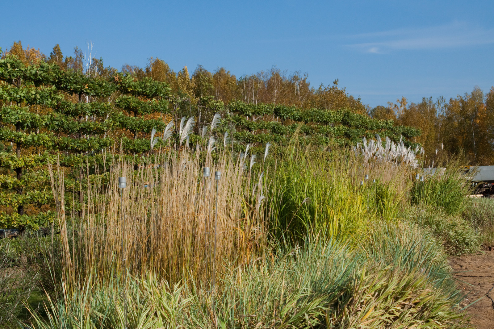Проект недели: Современный сад с холмами и «метеоритом»
