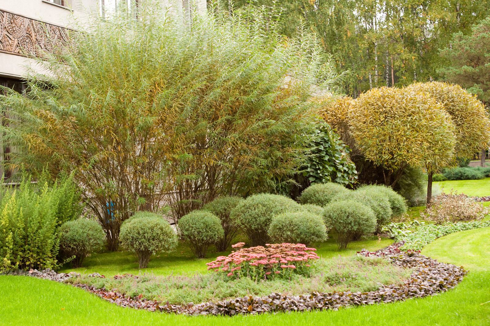 Обложка альбома: территория