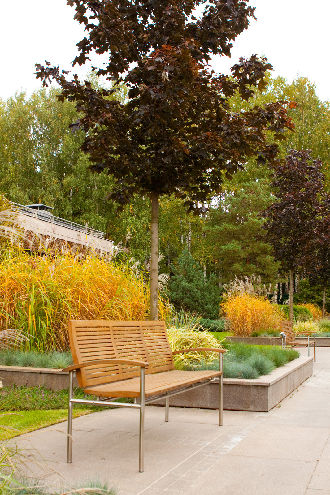 Проект недели: Сад в Заречье с декоративными цветниками из злаков