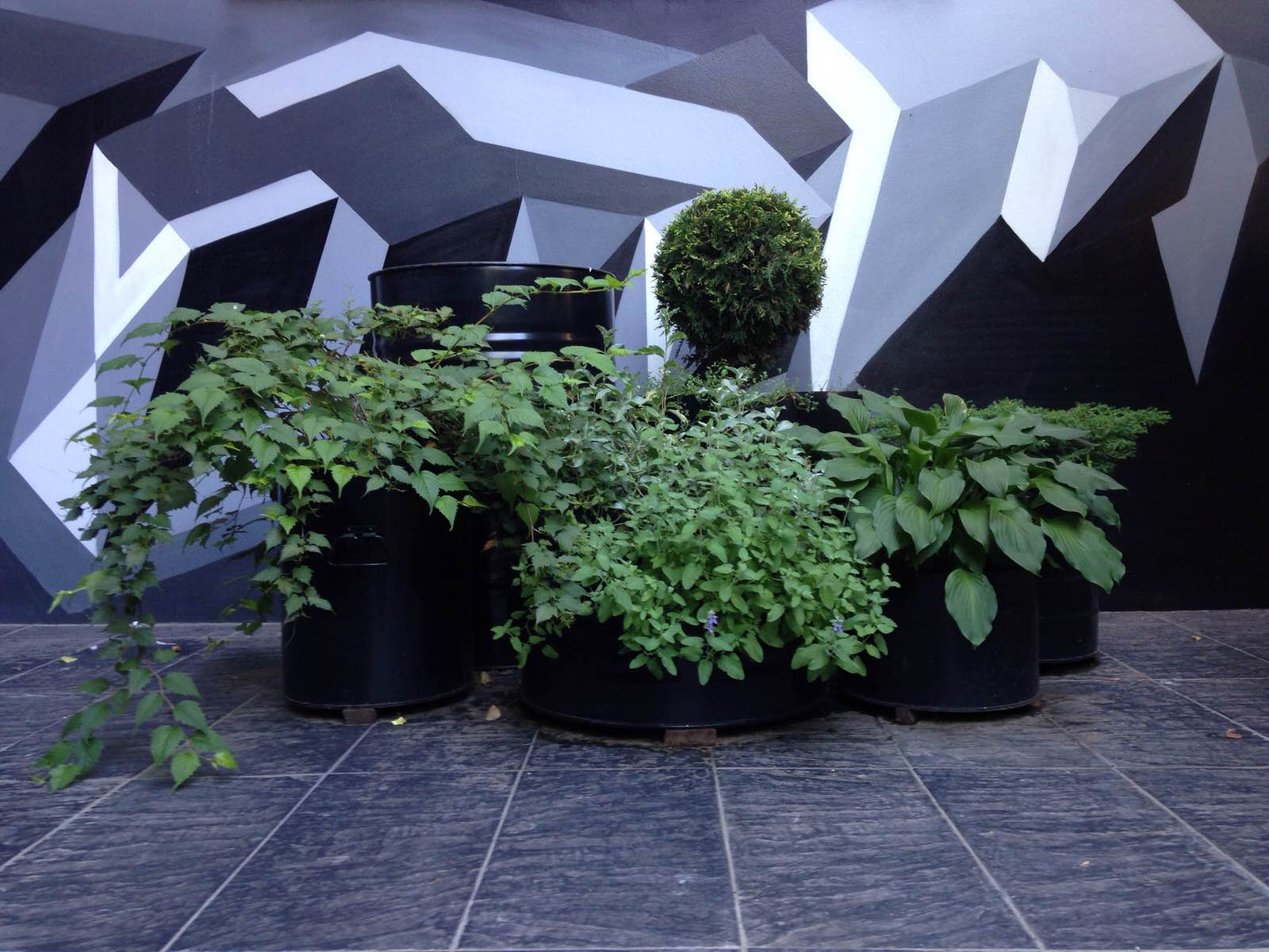 Виктория Мазуренко