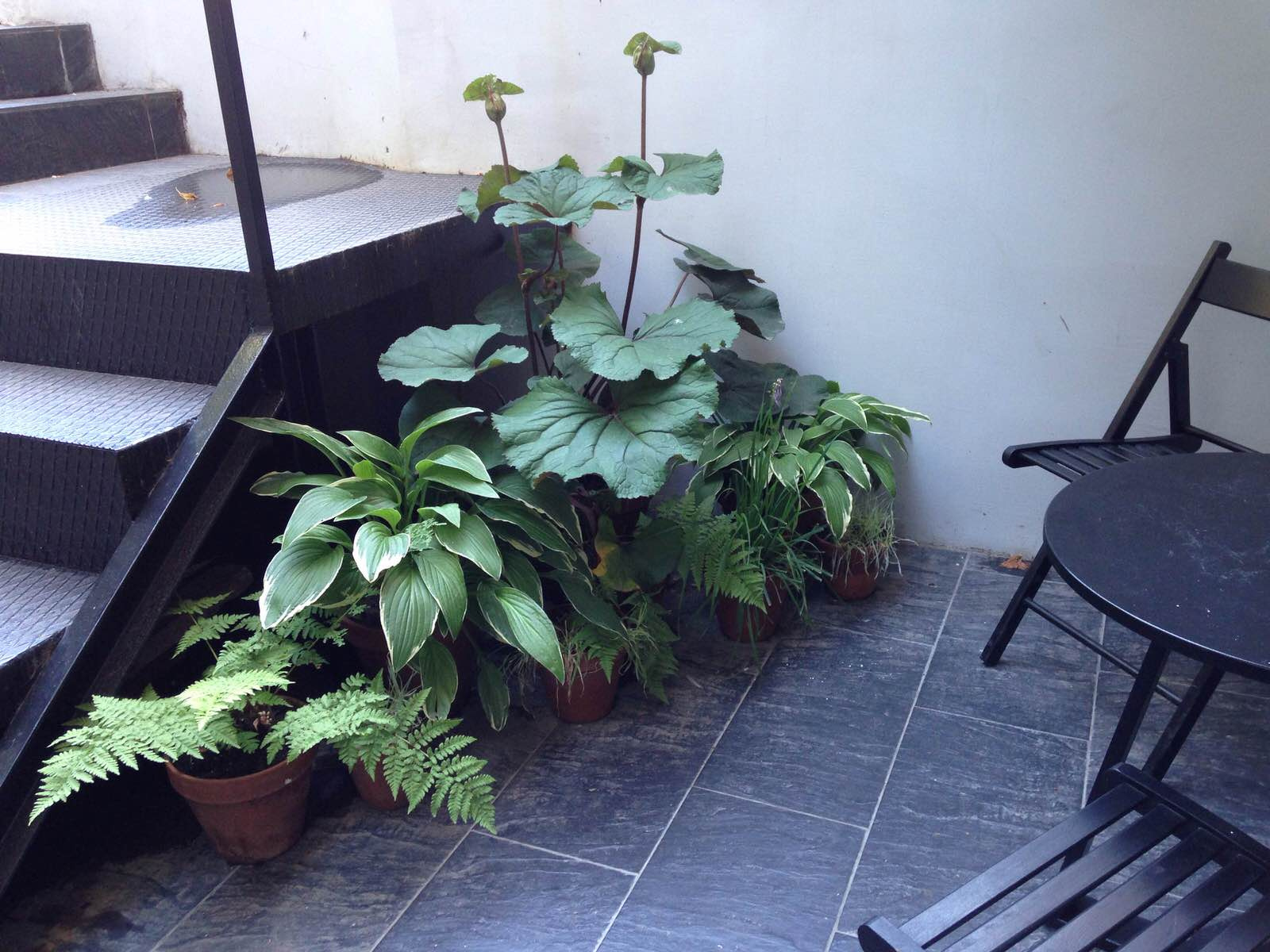 Контейнерное озеленение. Маленький Московский дворик р-н Пушкинской площади