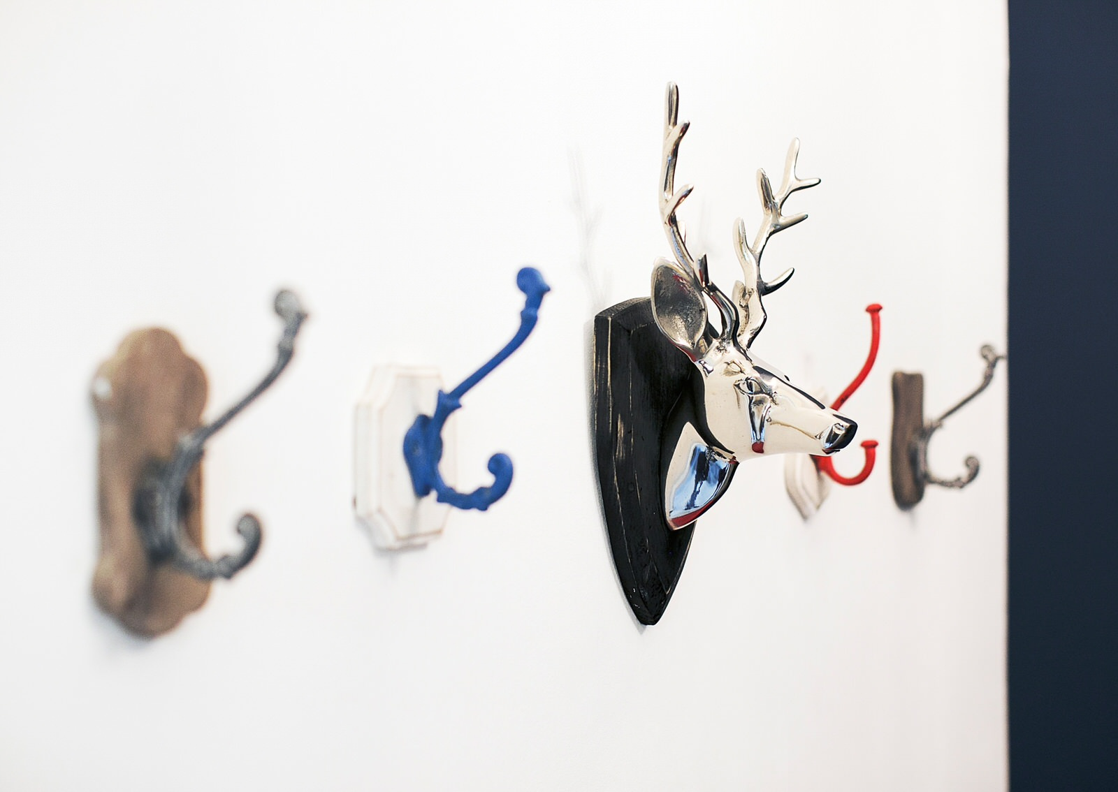 Обложка альбома: Прихожая