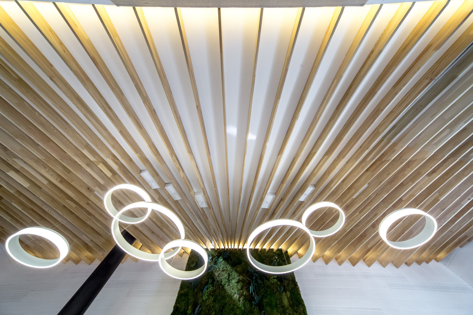 Гостиная для ТВ-проекта "Дачный ответ"