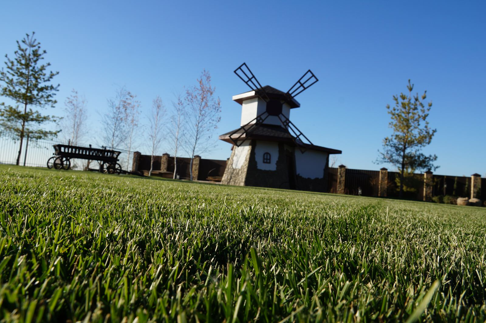 Фоновое изображение профиля Татьяна Заманская