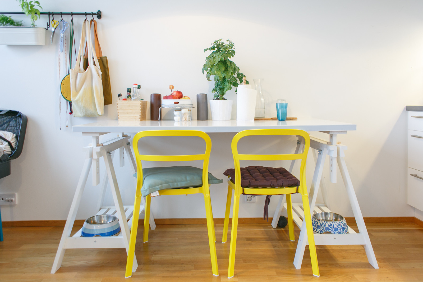 В гостях: Как живут Евгений, Эми и их собаки Рок & Ролла в Хельсинки