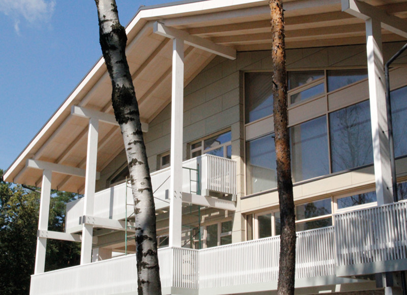 Индивидуальный жилой дом Василия