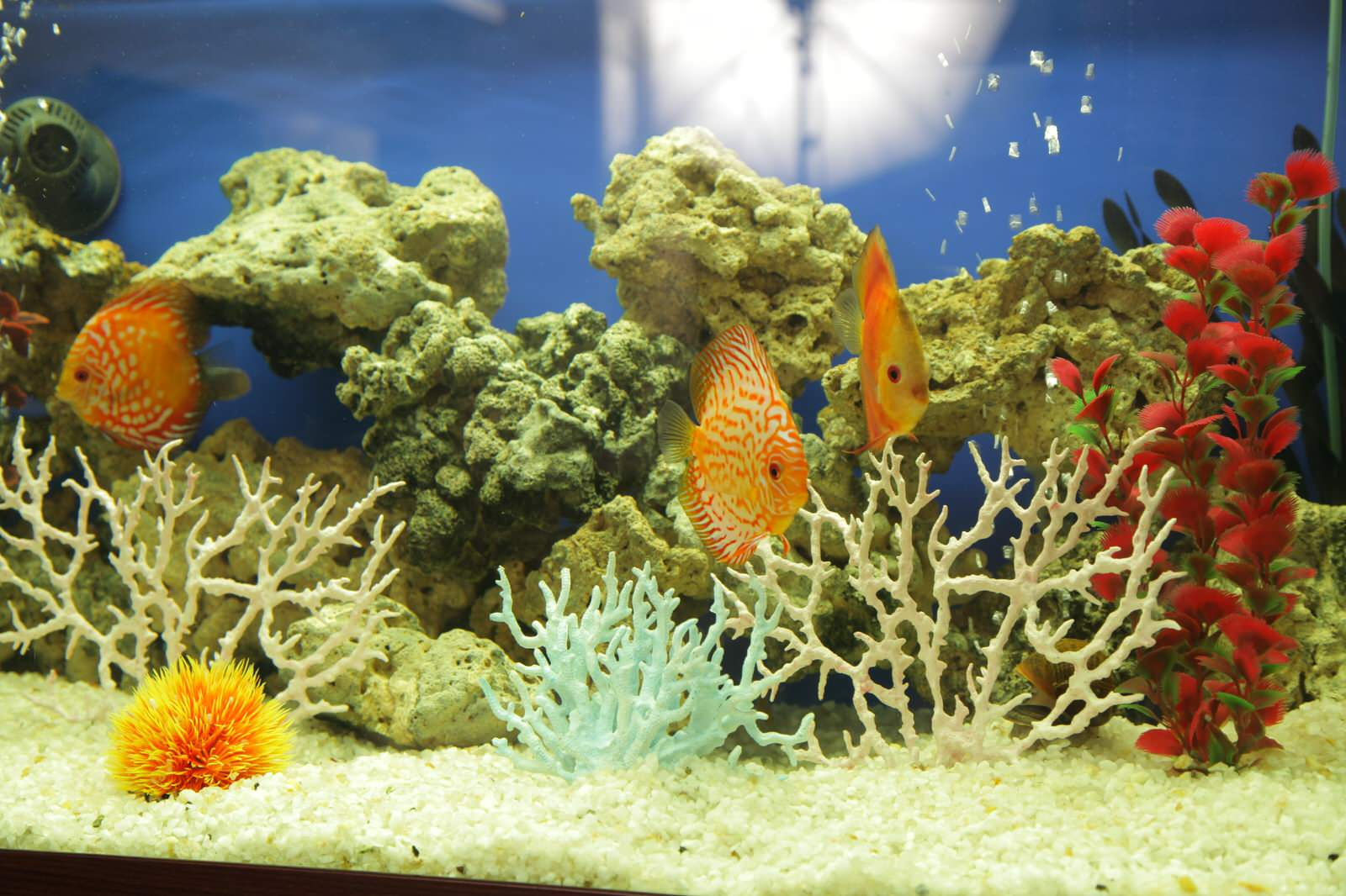 квартира 140 м2