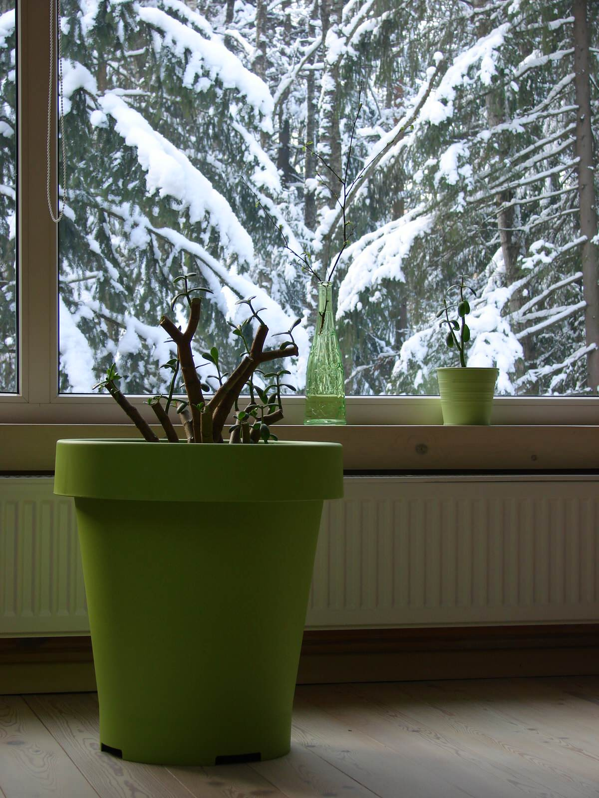 Интерьер деревянного дома