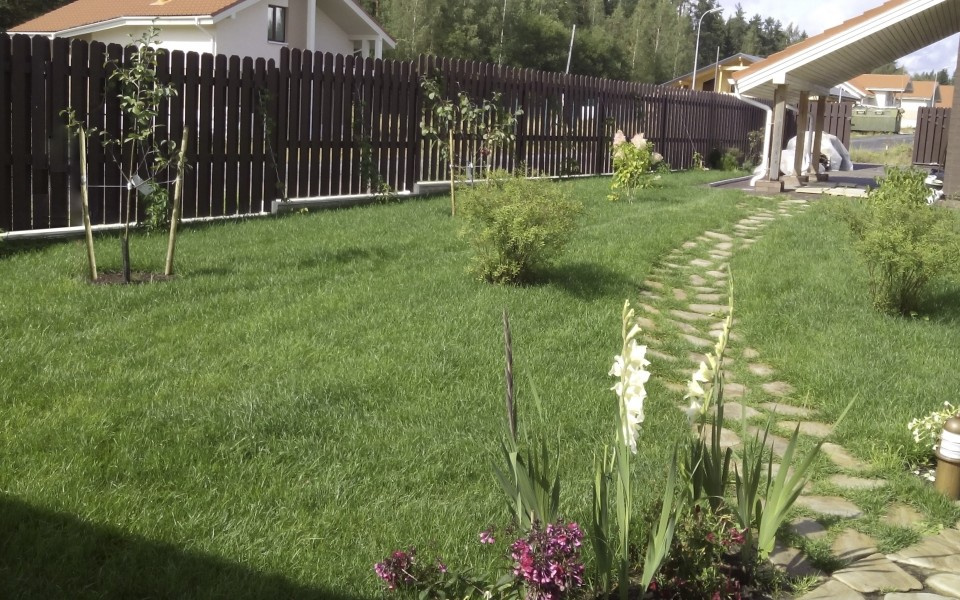 Фоновое изображение профиля Сады Петербурга