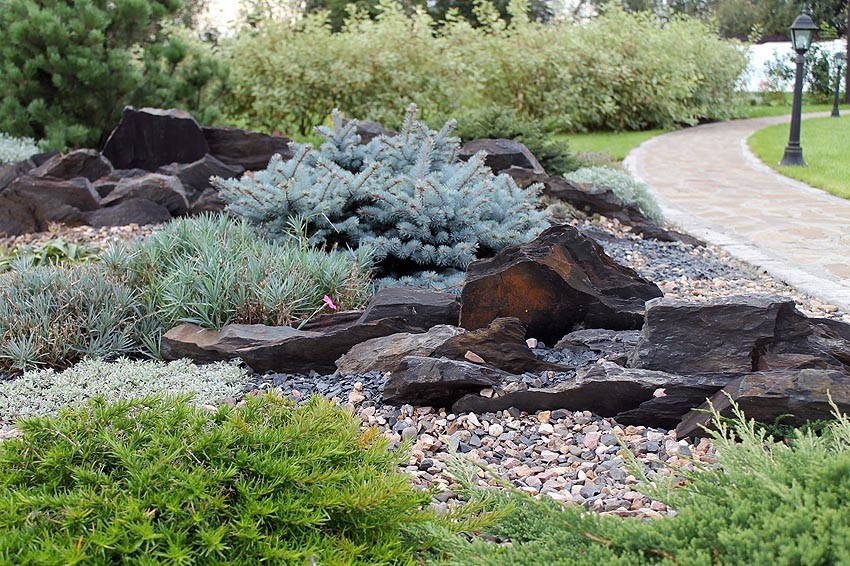 Тематический сад