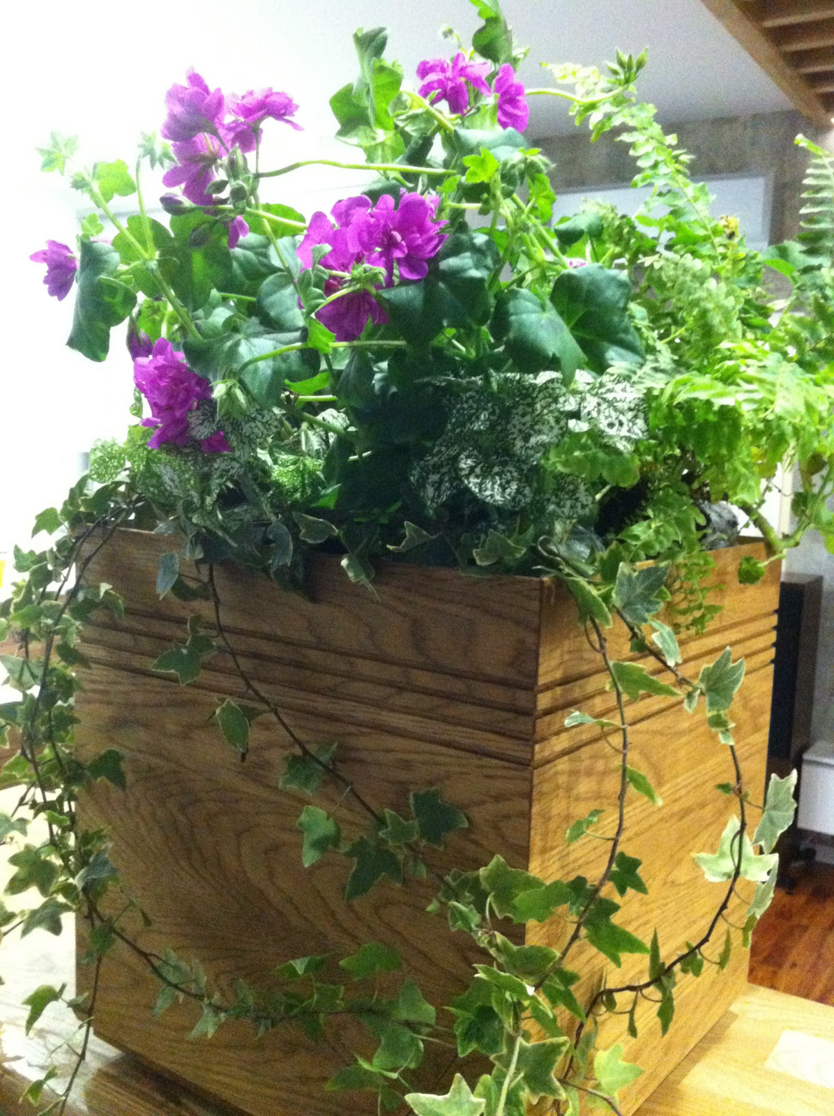 Контейнерное озеленение