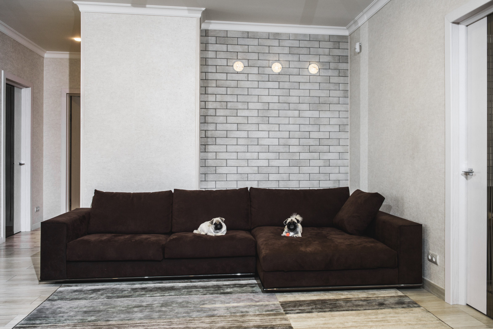 Светлая квартира в Старгороде.