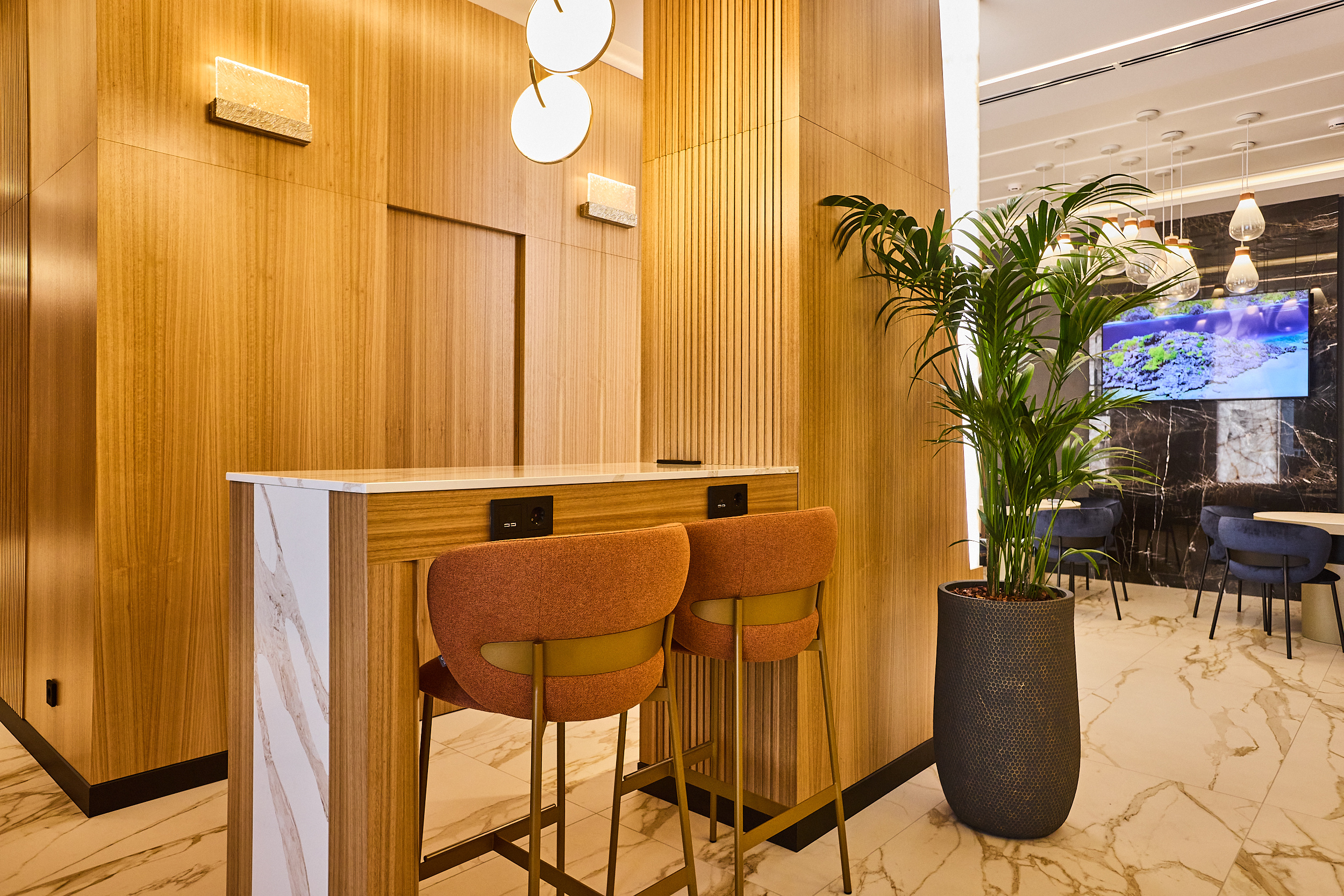 Аэропорт «Внуково» им. А. Н. Туполева, ВИП-лаундж