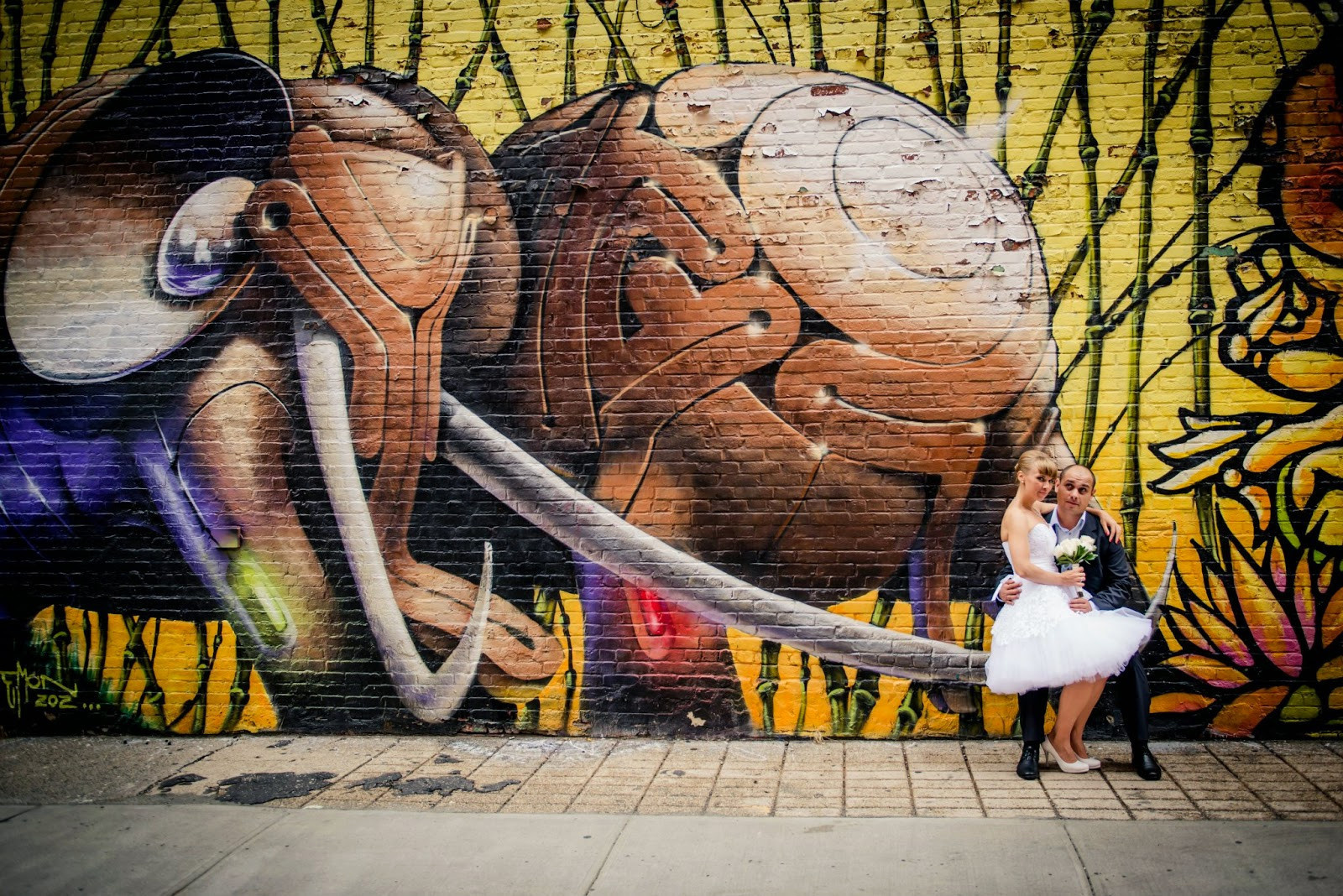 Wedding Photographer