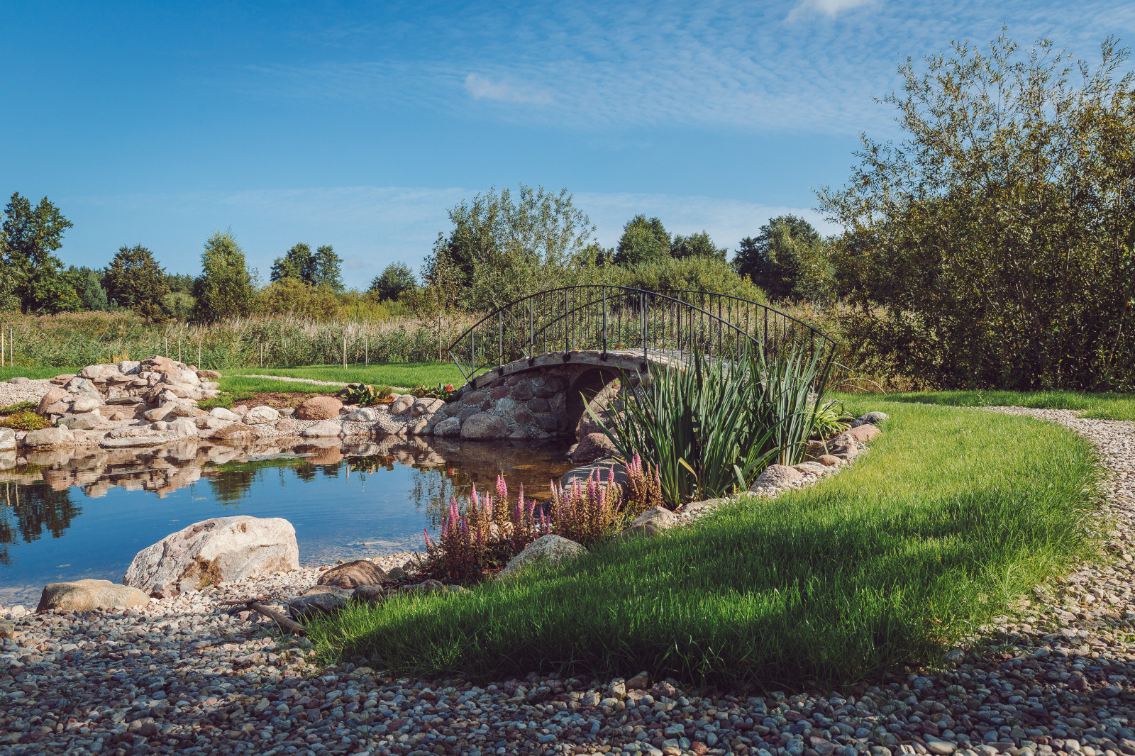 Эко Дома в Юрмале