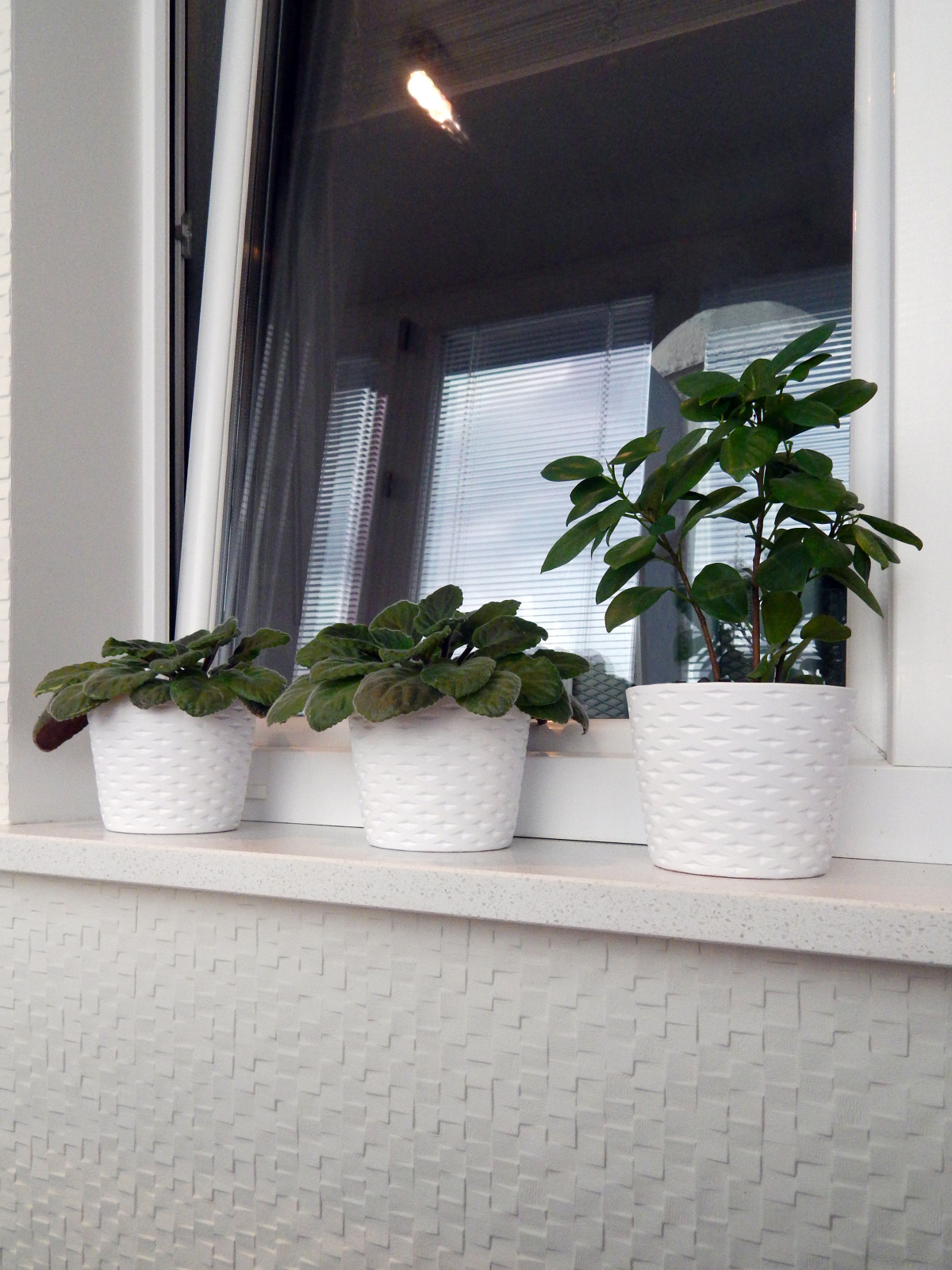 Квартира-студия