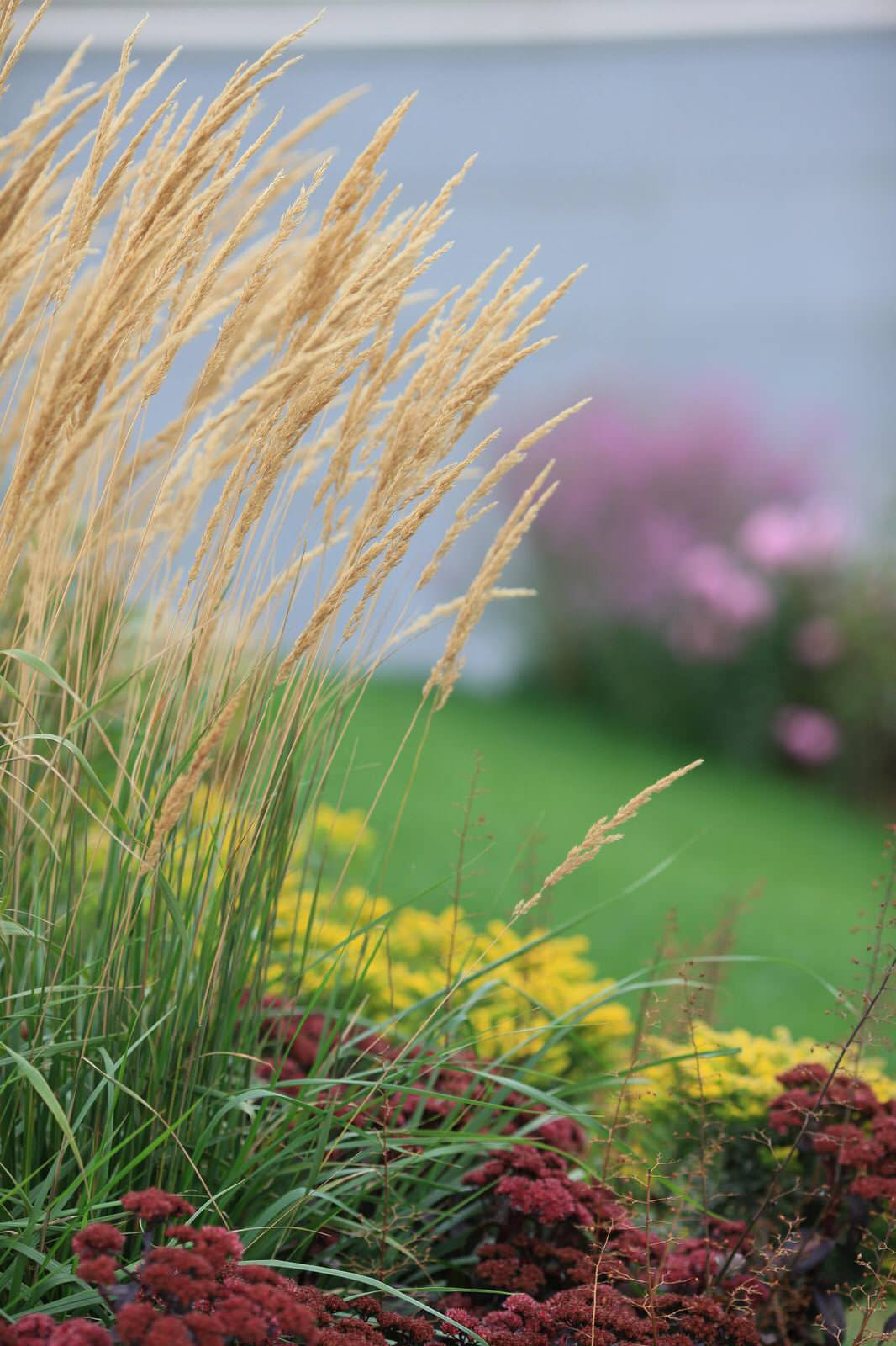 Татьяна  Койсман