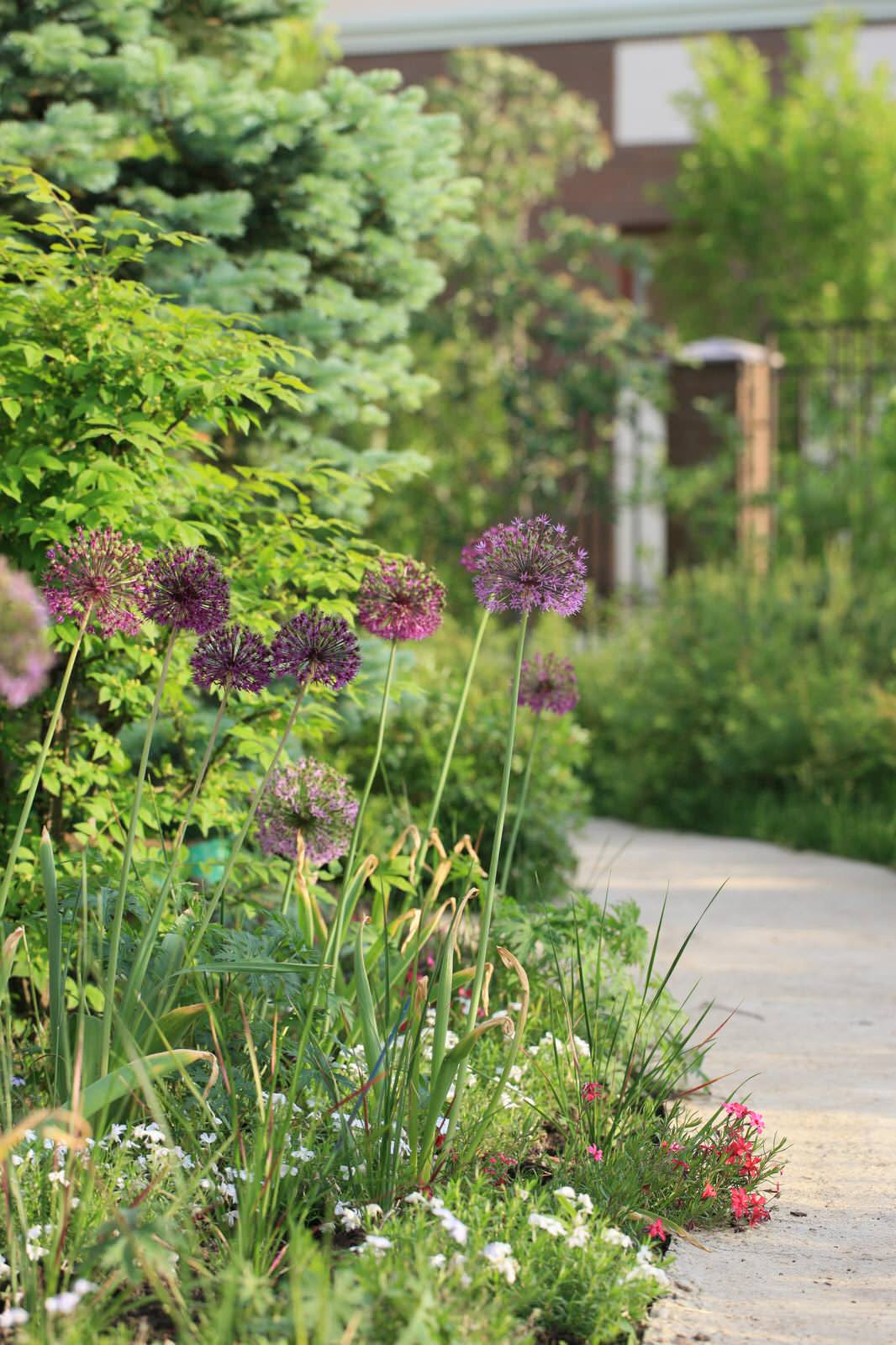 Дизайн-дебаты: О чем спорить с соседями, если ты садовод