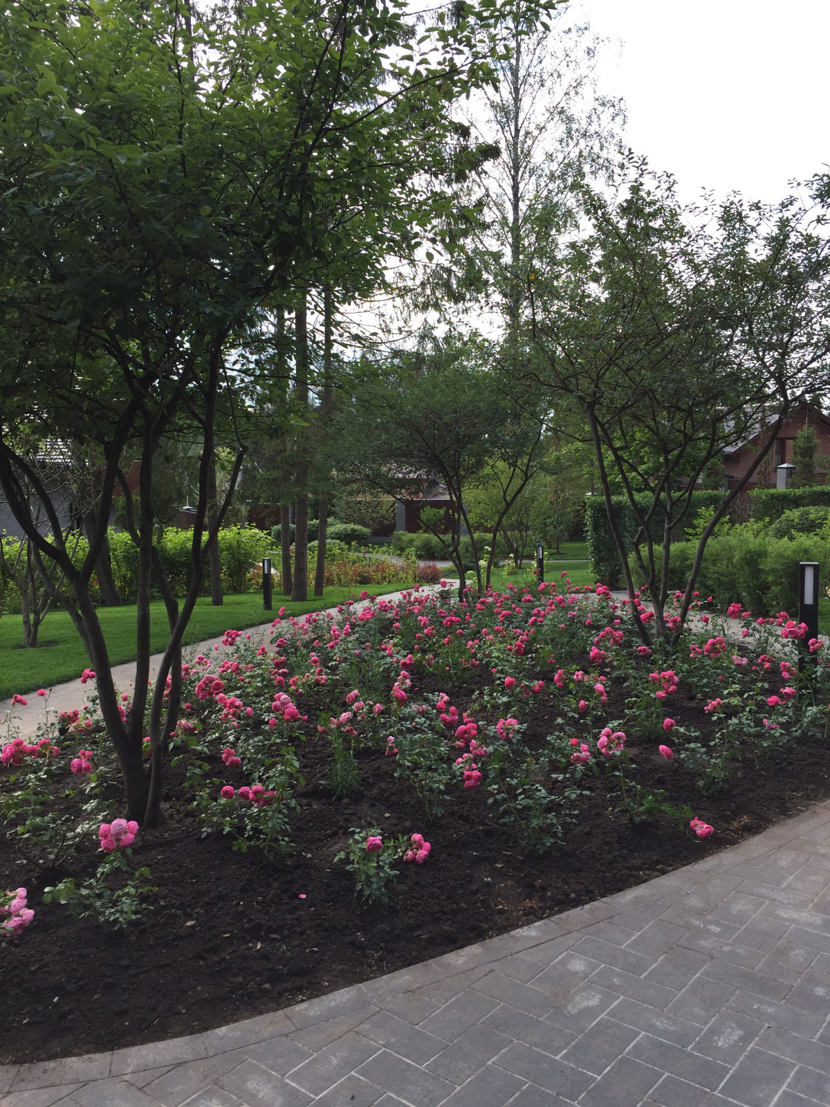 Фоновое изображение профиля Юлия Наместникова