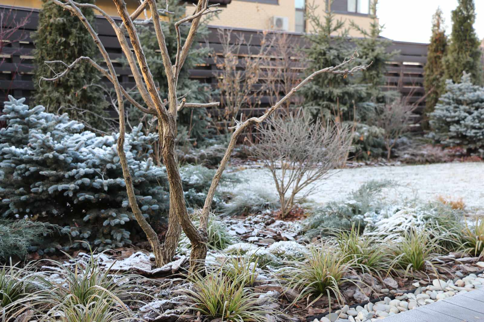 Проект недели: Всесезонный сад на 7 сотках