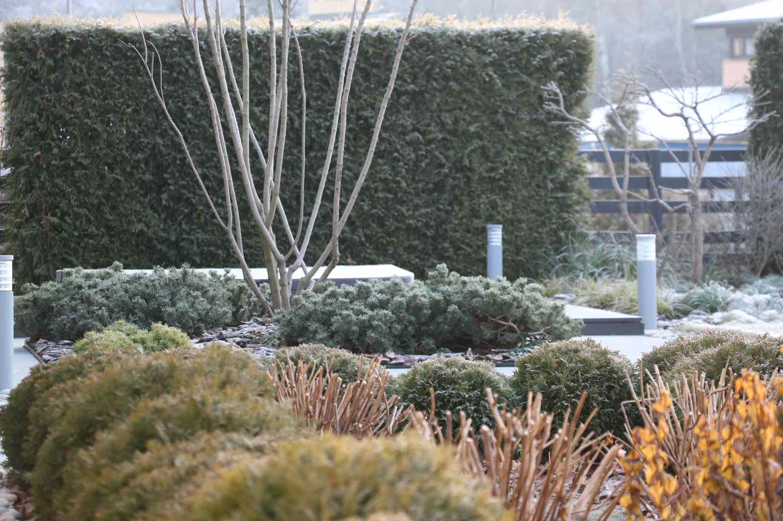 Проект недели: Всесезонный сад на 7 сотках