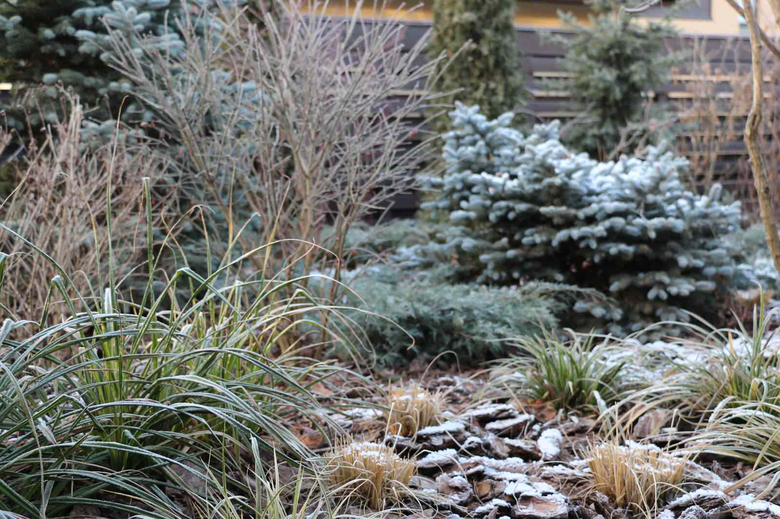 Проект недели: Всесезонный сад на 7 сотках