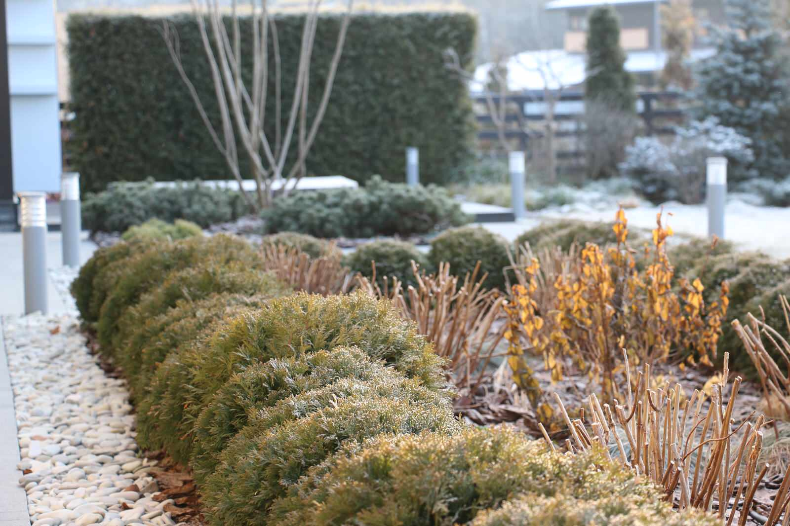 Проект недели: Всесезонный сад на 7 сотках