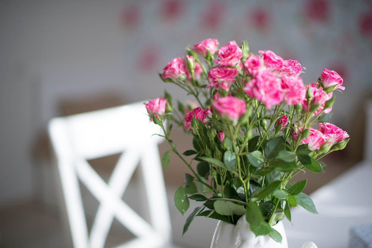 Загородный дом в Астрахани. Дизайнер Айгуль Сапарова.