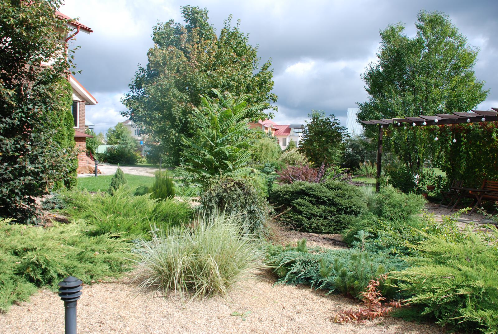 Дмитриева Елена